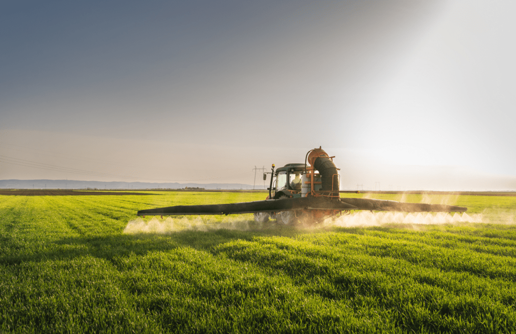 barley grass field 2 barley grass field 2
